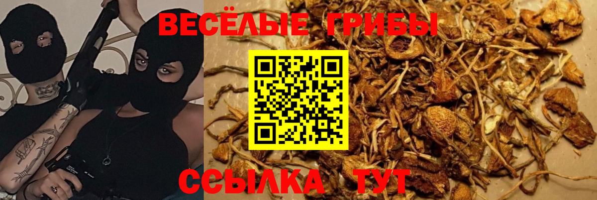Галлюциногенные грибы мицелий Нижний Тагил